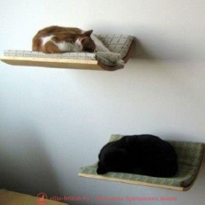 Выкройка домика для кошки из поролона фото 112