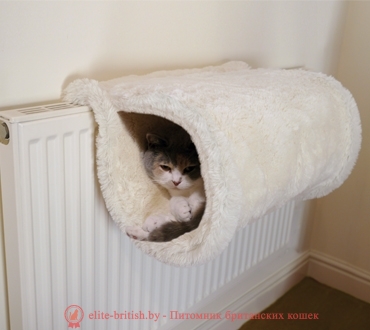 Лежанки для кошек на батарею Лежанки для кошек на батарею