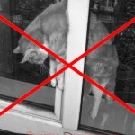 АНТИКОШКА - Москитная сетка для кошек Pet Screen