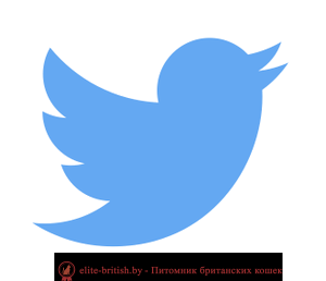 twitter-logo_18