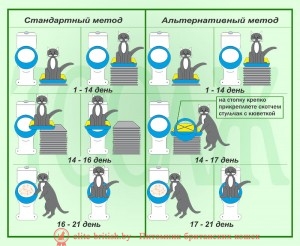 Схема как кота приучить к унитазу как приучить котёнка к унитазу, приучение котенка к унитазу, кот на унитазе, кот ходит на унитаз, приучить кота ходить на унитаз, как кота приучить к унитазу, научить кота ходить на унитаз, накладка для унитаза для котов, приучение котов к унитазу, кот на унитазе фото, туалет для котов на унитаз, лоток на унитаз для кота, крышка на унитаз для котов, коты на унитазах картинки, унитазы для кошек, приучение кошек к унитазу, кошка ходит в унитаз, систему приучения кошек к унитазу, сидение на унитаз для кошек, лоток для кошек на унитаз, приучатель к унитазу для кошек, решетка на унитаз для кошек, насадки на унитаз для кошек