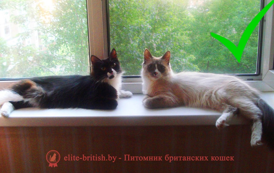 АНТИКОШКА - Москитная сетка для кошек Pet Screen