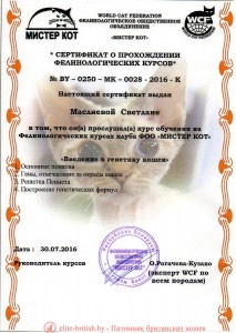 Сертификат об учебе