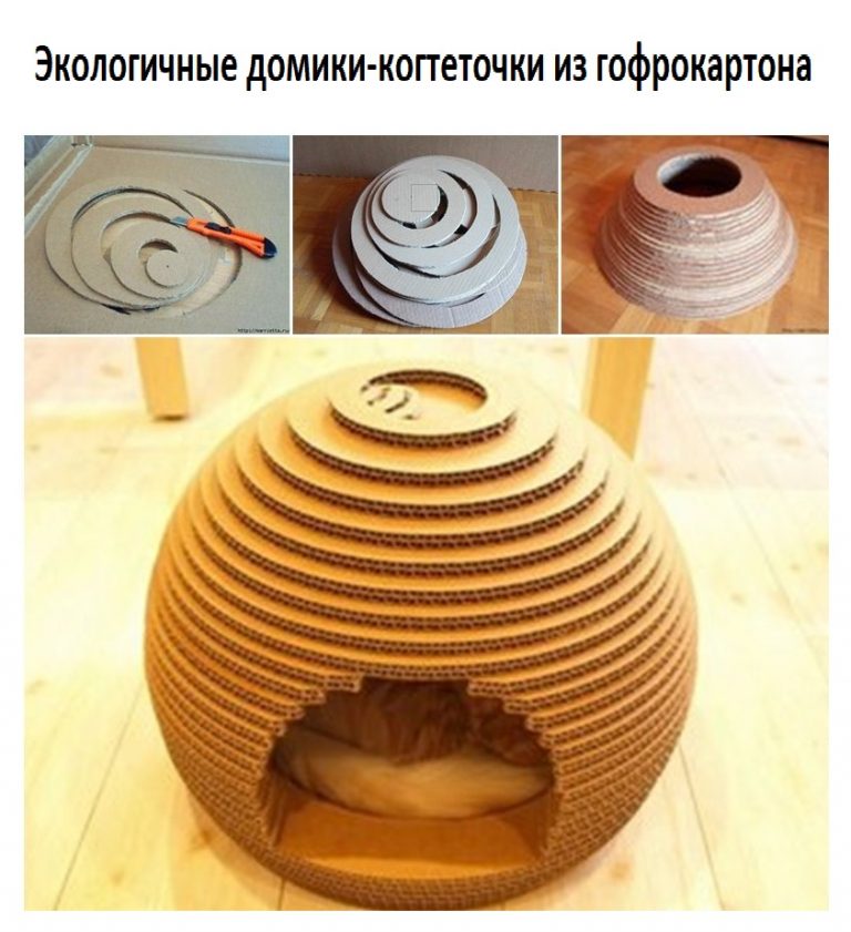 Домики для кошек и котов. Когтеточки для кошек. Питомник Elite British