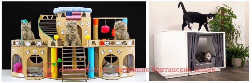 Домики для кошек и котов. Когтеточки для кошек. Питомник Elite British