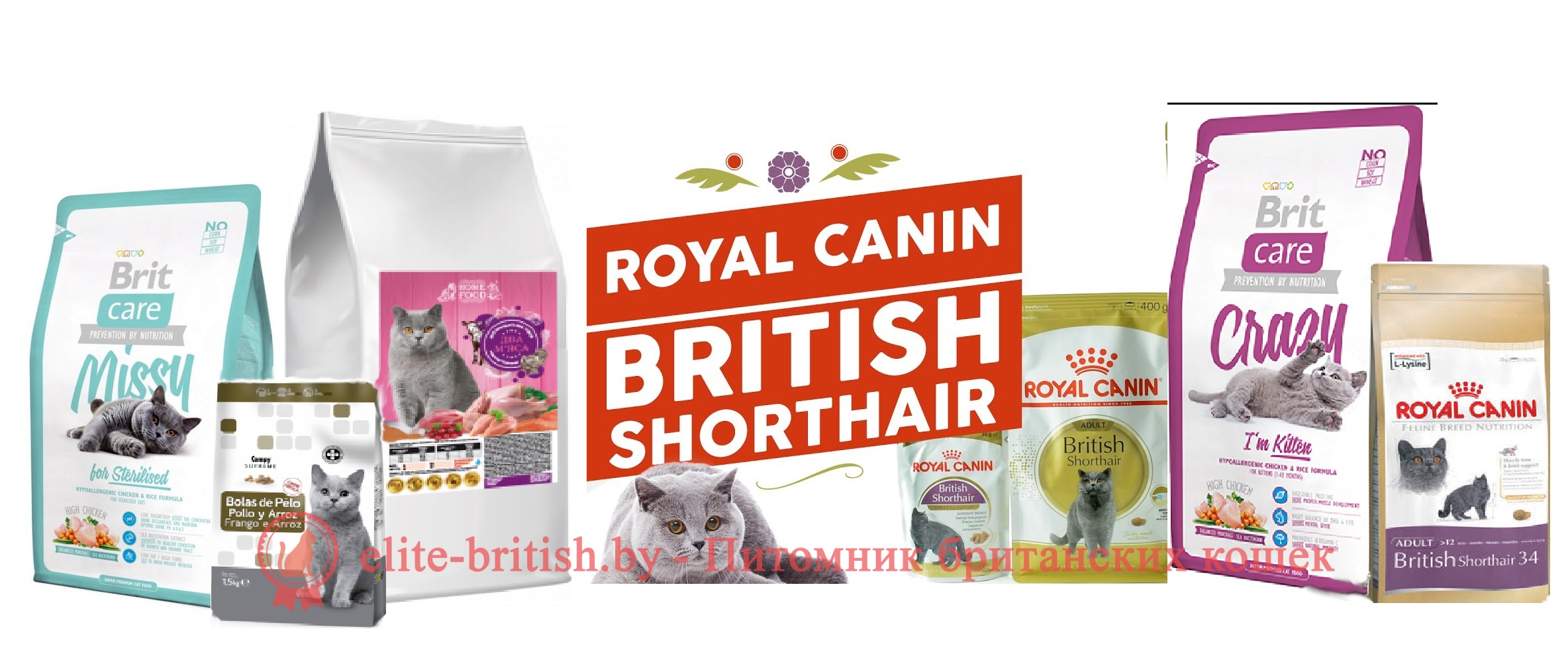 СУХОЙ КОРМ для британских кошек: какой лучше? ТОП-12 кормов для британцев